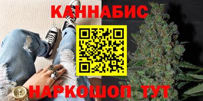 крисы Будённовск