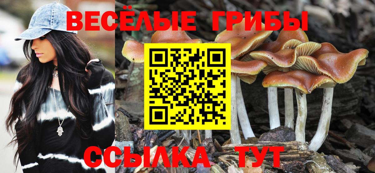 Псилоцибиновые грибы Psilocybe  Вход с VPN  Киров 
